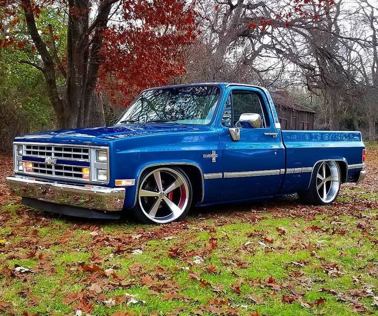 a blue truck is parked in the grass near some trees and fallen leaves on the ground