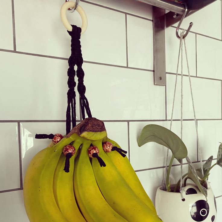 a bunch of bananas hanging from a hook on a wall next to a potted plant