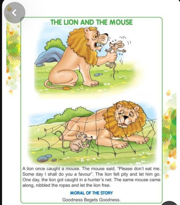 Catch A Mouse, Lion And The Mouse, Letting Go Of Him, Let It Be, Reading