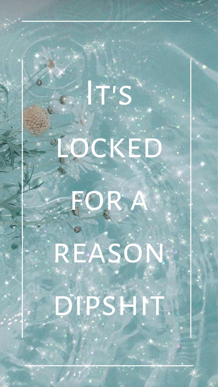 the words it's locked for a reason dipsht in water with bubbles