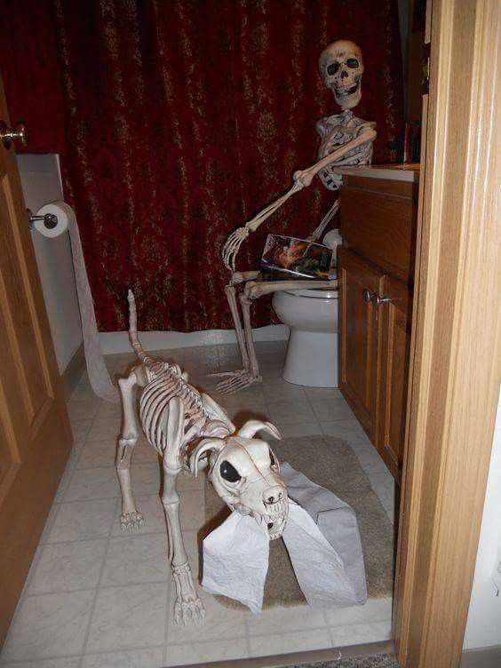 a skeleton is standing in the bathroom next to a toilet paper roll and a dog statue