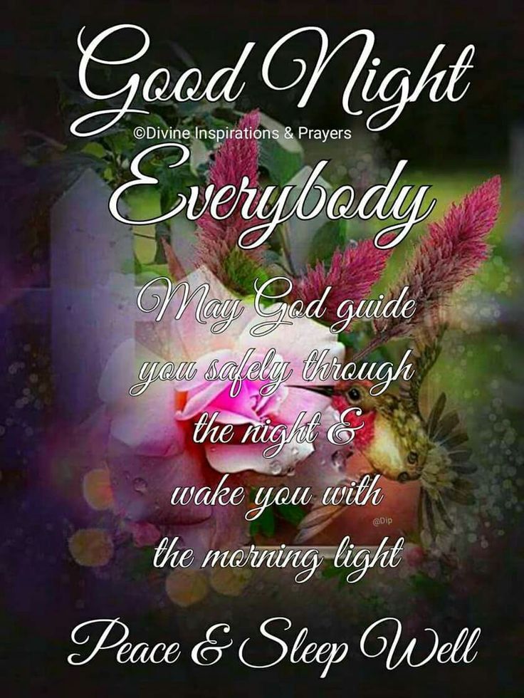 a poem with flowers and the words good night everybody