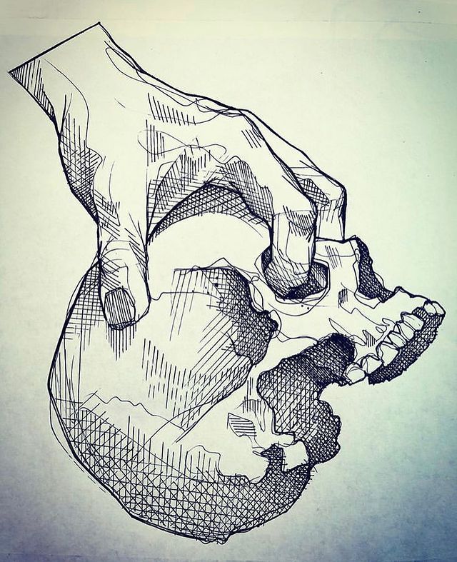 an ink drawing of a human skull