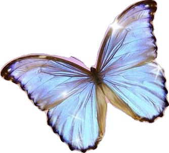 a blue butterfly flying through the air