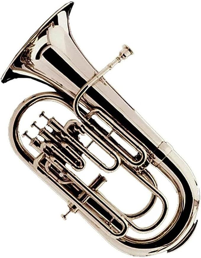 an image of a french horn on a white background