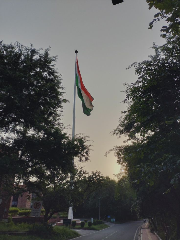 an italian flag flying in the air over a street with trees on both sides and buildings behind it