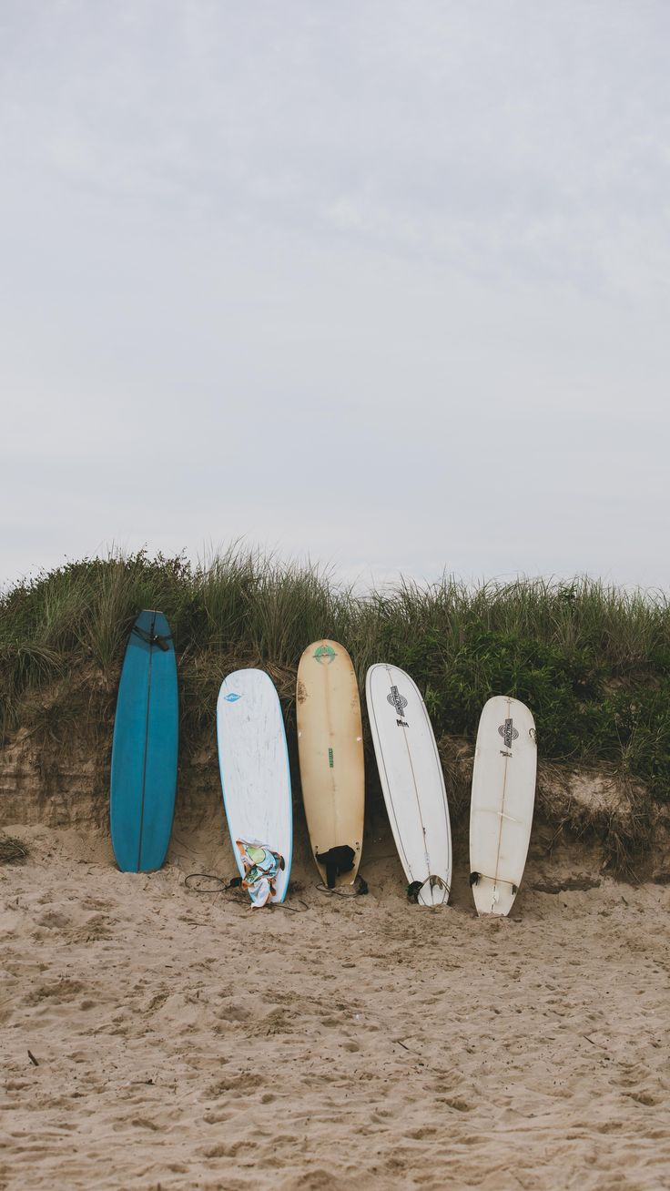 four surfboards are lined up against the sand