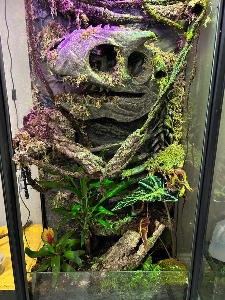 an aquarium filled with plants and rocks in the shape of a human head on display