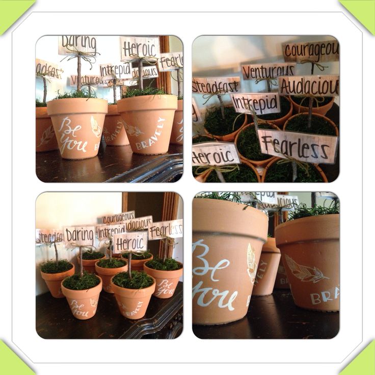 there are many potted plants with name tags on them in different stages of growing