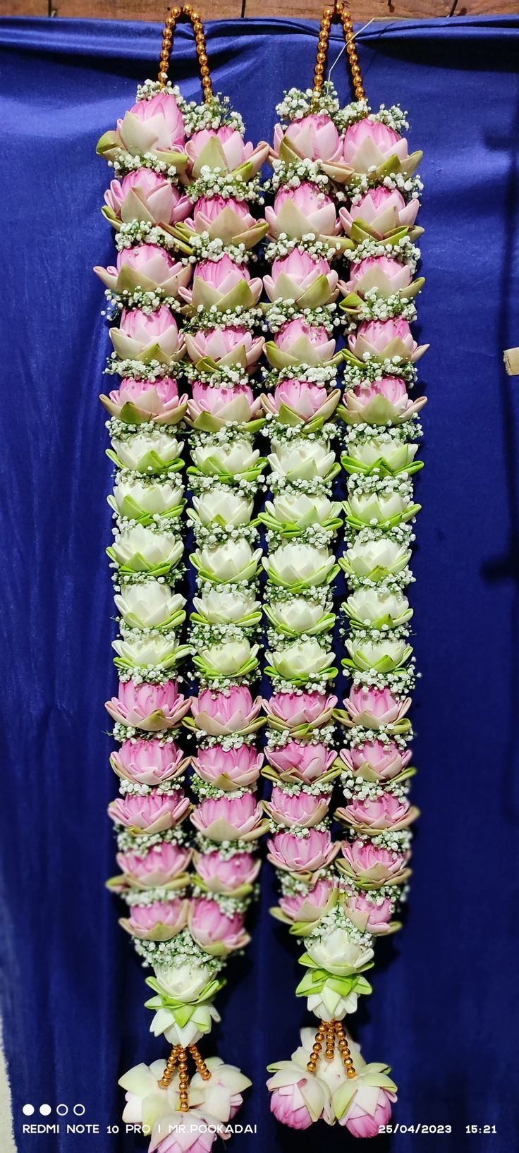 two rows of flowers hanging from hooks on a wall