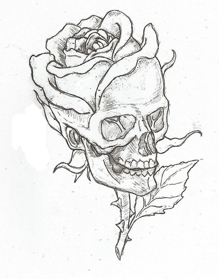 a drawing of a skull with a rose on it