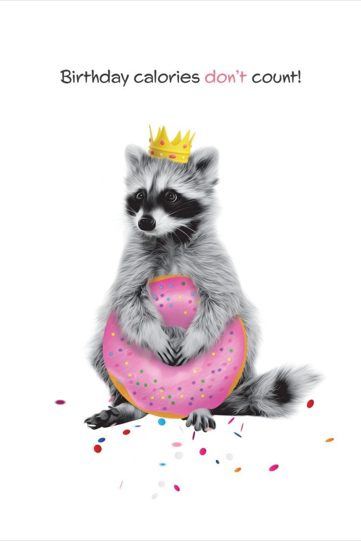 a raccoon holding a pink donut with a crown on it's head