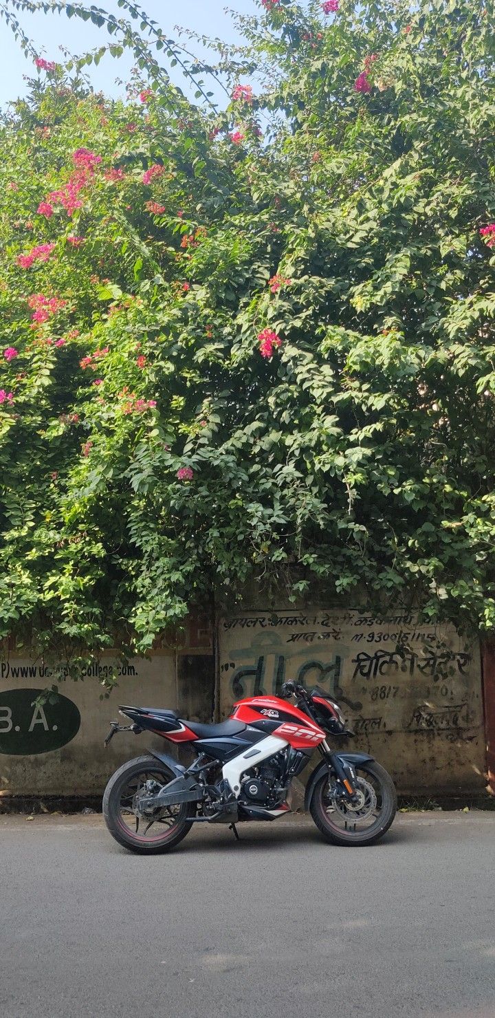 a red and black motorcycle parked in front of a tree with pink flowers on it