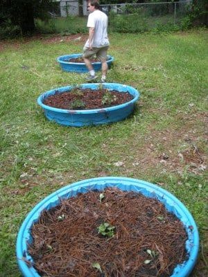 a man standing in the middle of three blue plastic bowls filled with dirt and plants