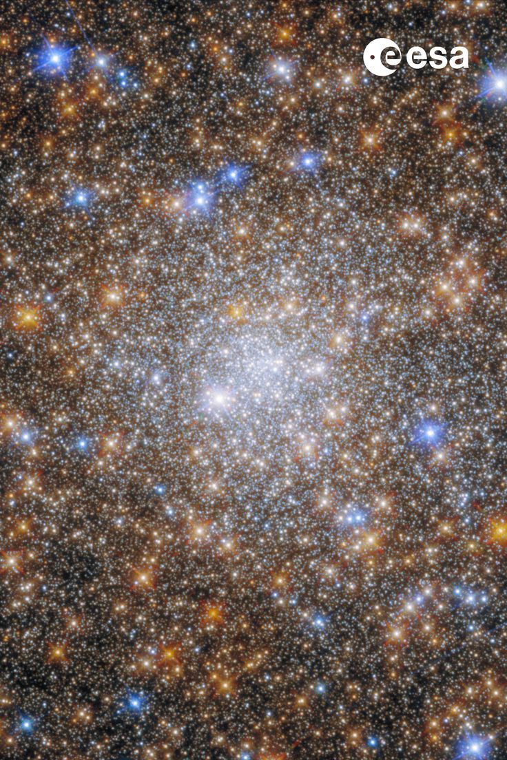 The image is almost completely filled with stars of orange, blue, white colours of varying sizes and brightness. The density is slightly greater in the middle where it appears bright white. Globular Cluster, Field Camera, Space News, Star Cluster, Halloween Scene, Hubble Space, Star Images, Hubble Space Telescope, Space Telescope