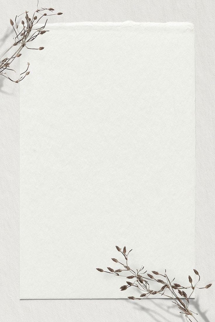 an empty piece of paper with dried plants on it and a blank sheet of paper in the middle