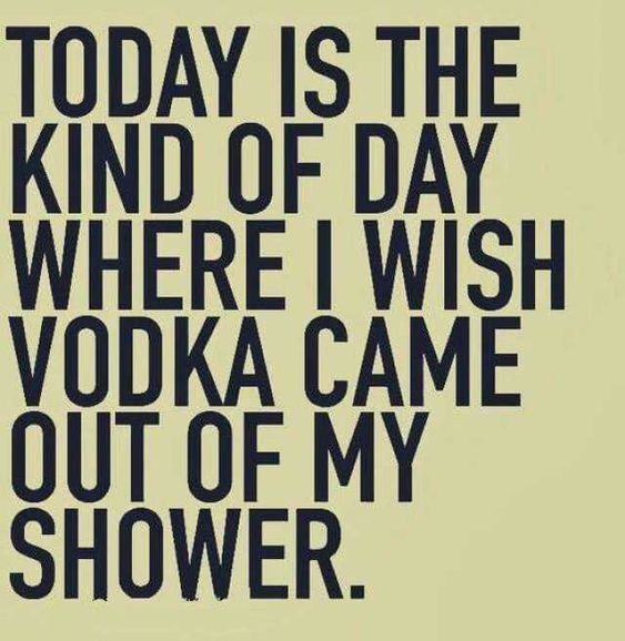 a quote that says today is the kind of day where i wish vodka came out of my shower