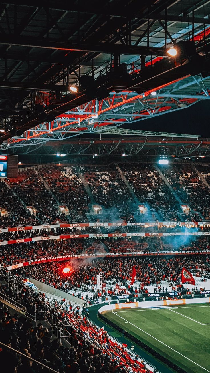 a stadium filled with lots of people watching soccer