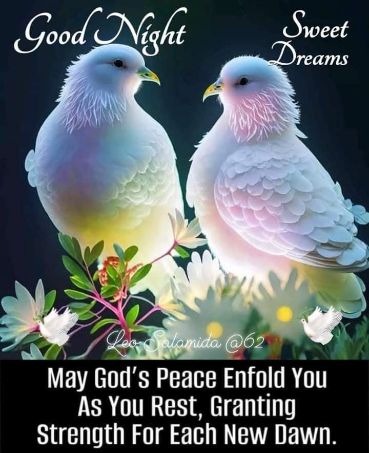 two white doves sitting on top of flowers with the words good night sweet dreams