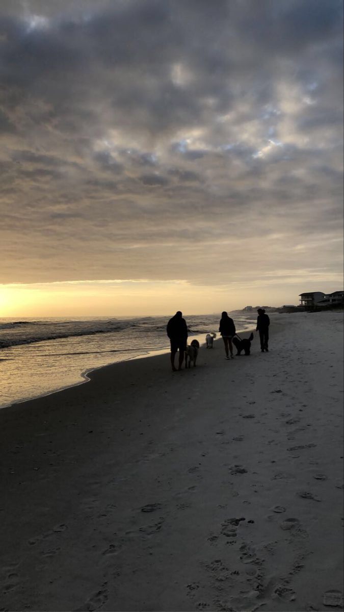 several people walking on the beach with their dogs at sunset or sunrise, while the sun is low in the sky