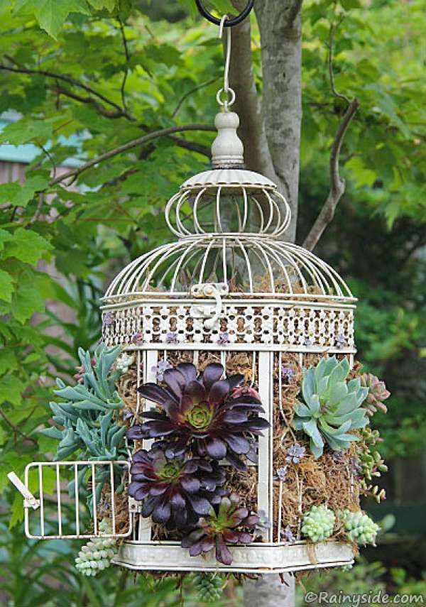 a birdcage with succulents and plants hanging from it's sides