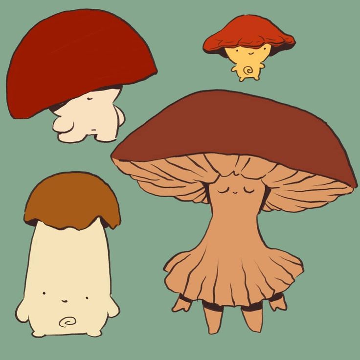 three different types of mushrooms on a green background