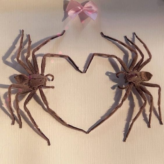 two large brown spider's sitting next to each other on top of a table