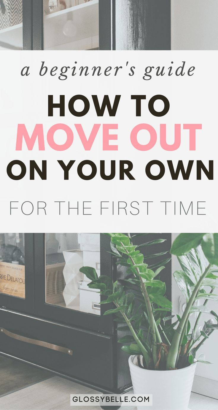 a houseplant with text overlay that reads, a beginner's guide how to move out on your own for the first time