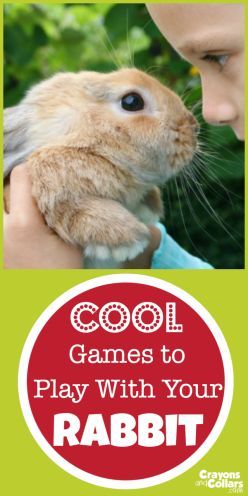 a young boy holding a rabbit with the words cool games to play with your rabbit