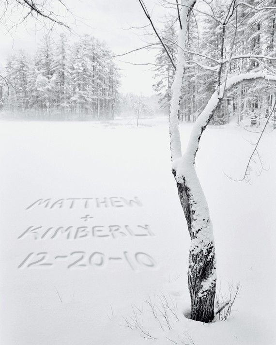 a tree in the snow with writing on it