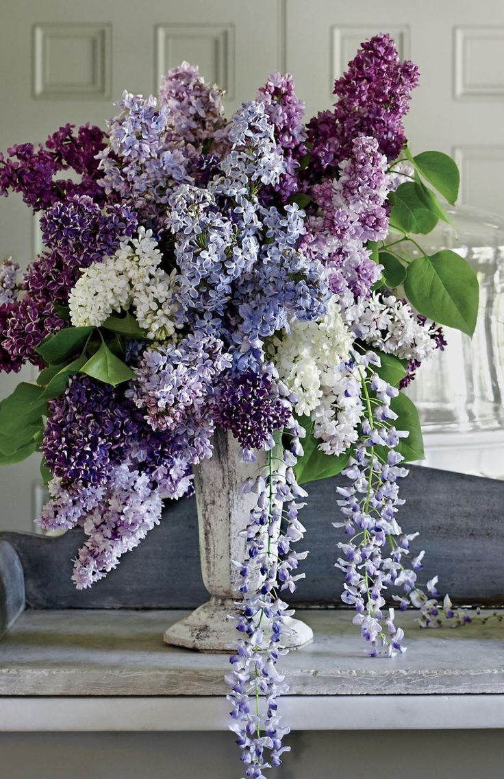 a vase filled with purple and white flowers