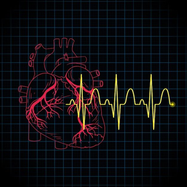 Heartbeat With Heart, Heartbeat Art, Medical Photography, Svg Art, Heart Rhythms, Cartoon Svg, Art Cartoon, Ap Art, Meus Pins