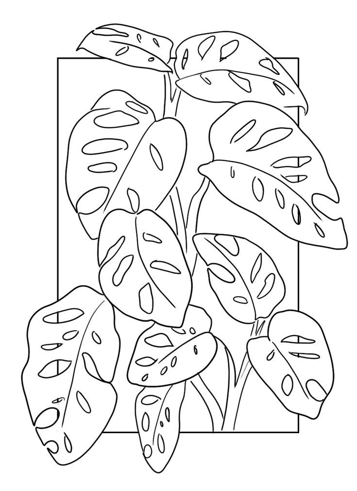 a black and white drawing of a plant with leaves