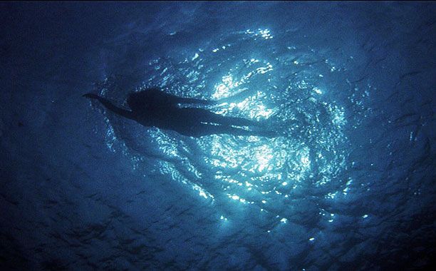 a person swimming in the ocean at night