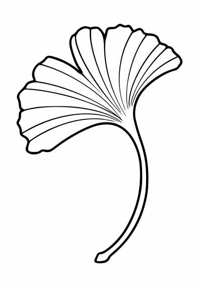 a ginko tree leaf in black and white on a white background coloring book pages, coloring books, ginko tree leaves, ginko tree, flower drawing lessons, art, ink pen drawings for beginners, how to draw flowers, person, easy paintings, silhouettes, simple