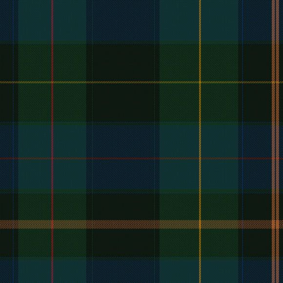 a green and black tartan plaid pattern