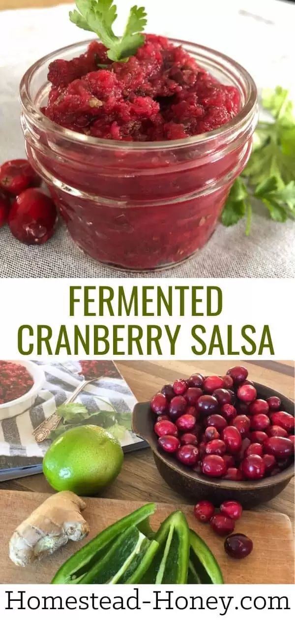 cranberry salsa in a glass jar with fresh berries and limes