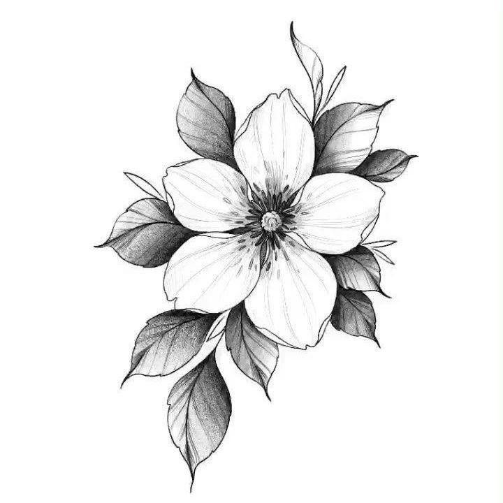 a black and white drawing of a flower