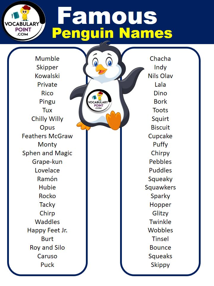 the penguin names in english and spanish are shown with an image of a penguin on it