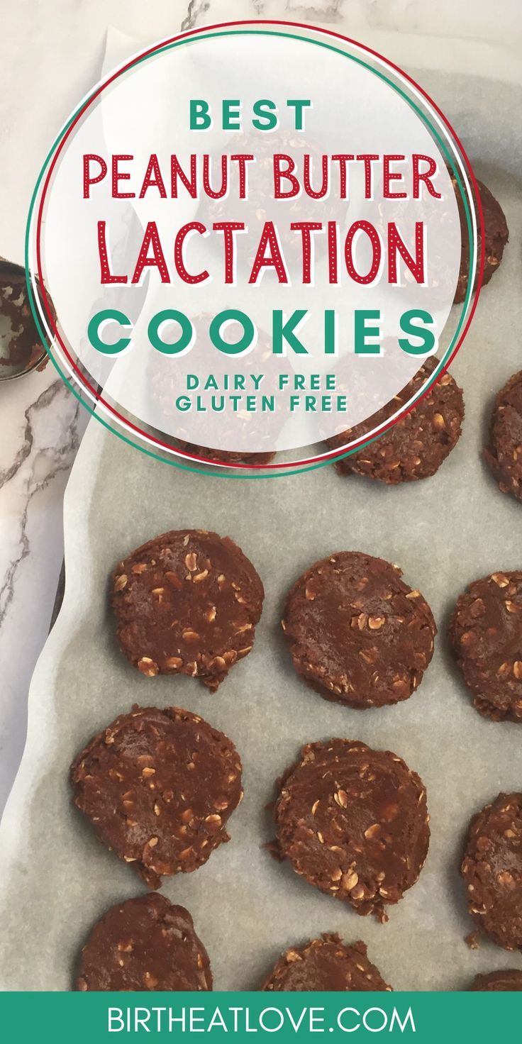 Peanut Butter Lactation Cookies, Easy Lactation Cookies, Lactation Recipes Easy, Oatmeal Lactation Cookies, Dairy Free Lactation Cookies, Boost Milk Supply Breastfeeding, Lactation Cookie Recipe, Boosting Milk Supply, Best Lactation Cookies