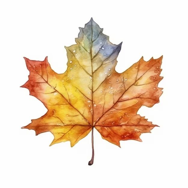 a watercolor painting of a maple leaf