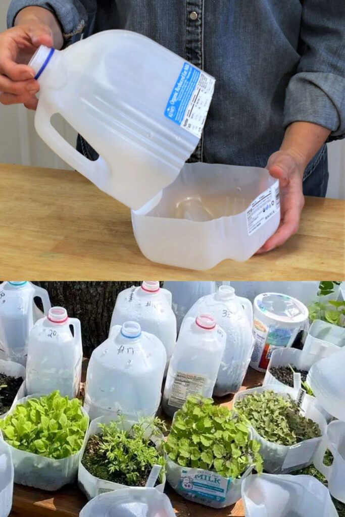 two pictures show the process of making water bottles for salads and lettuce