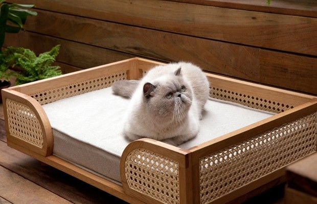 a cat laying on top of a wooden crate