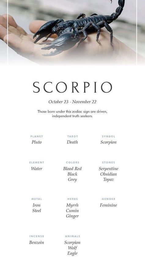 a hand holding a scorpion in it's palm with the words scorpio on it