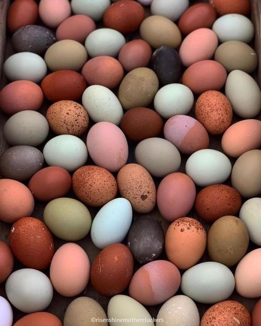 several different colored eggs in a box