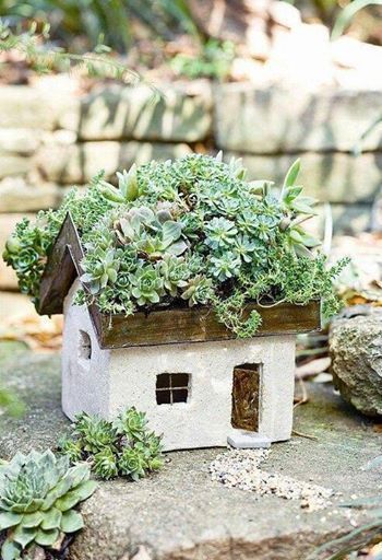 a small house with succulents growing out of it