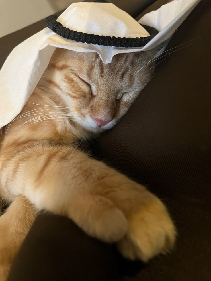 an orange cat sleeping on top of a couch wearing a white paper bag over its head