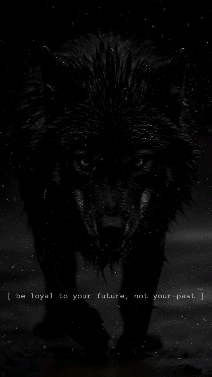 a black wolf with the words i be loyal to your future, not your past