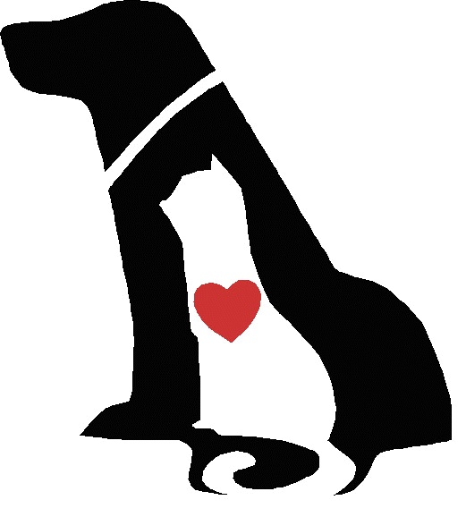 a black dog with a red heart on it's collar sitting in front of a white background