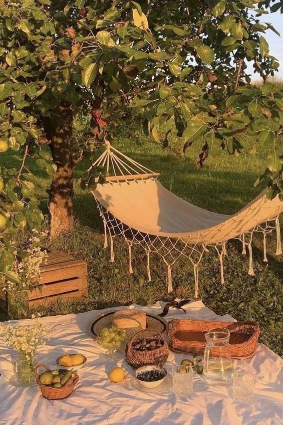 a hammock is set up in the grass with fruit and drinks on it